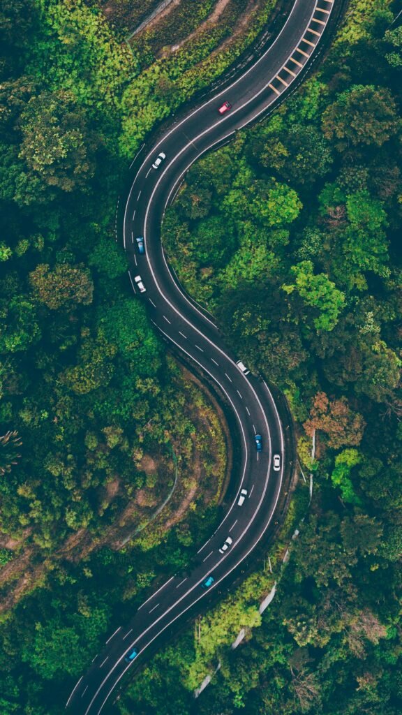 A sweeping aerial view of an S-shaped road winding through vibrant green Malaysian forest.